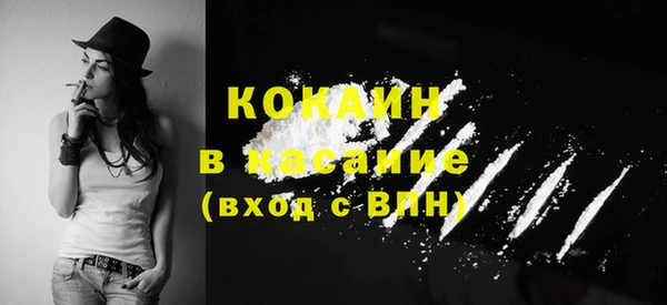 молекула духа Елабуга