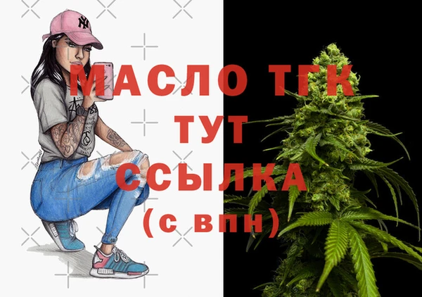 молекула духа Елабуга