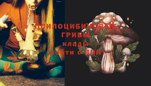 меф Заводоуковск