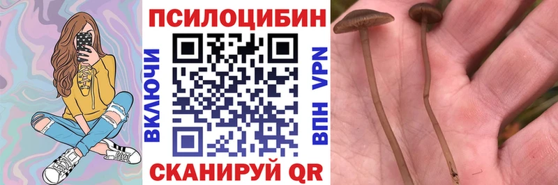 Псилоцибиновые грибы GOLDEN TEACHER  Пятигорск 