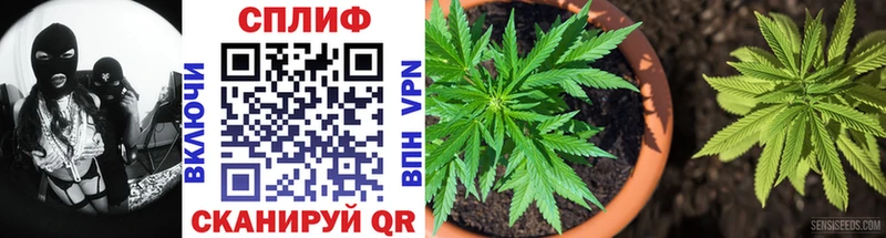 Бошки марихуана SATIVA & INDICA  Пятигорск 